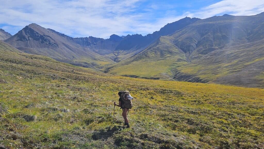 Mobile Backpack Big Game Hunting: 101