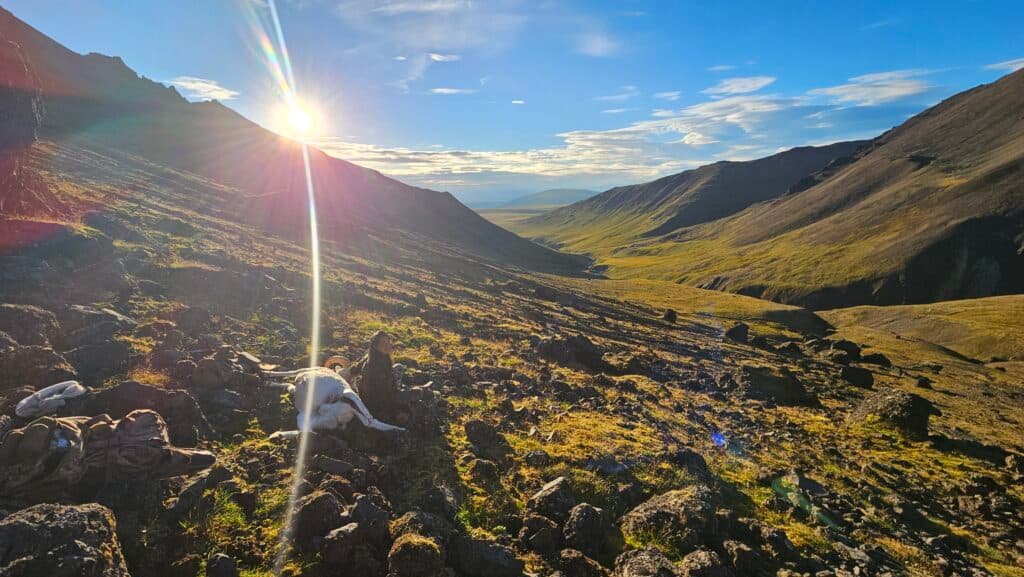 Wild Game Field Dressing & Animal Butchering